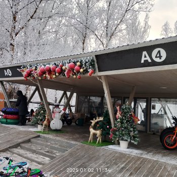 Городская ёлка 2024-25гг