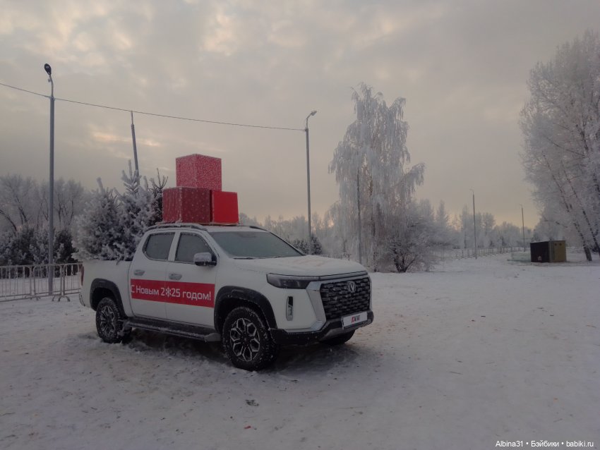 Городская ёлка 2024-25гг — Игровые куклы разных производителей (Разное): редкие бренды