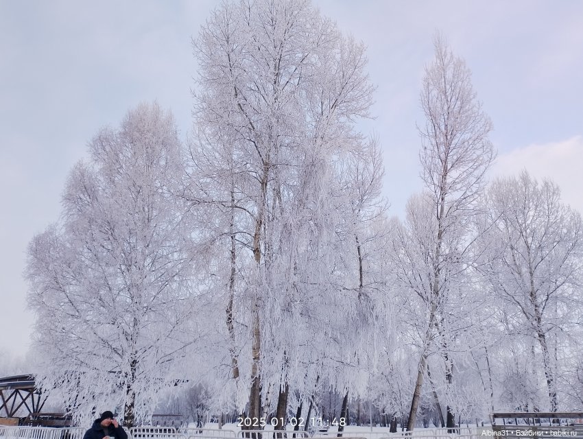 Городская ёлка 2024-25гг — Игровые куклы разных производителей (Разное): редкие бренды