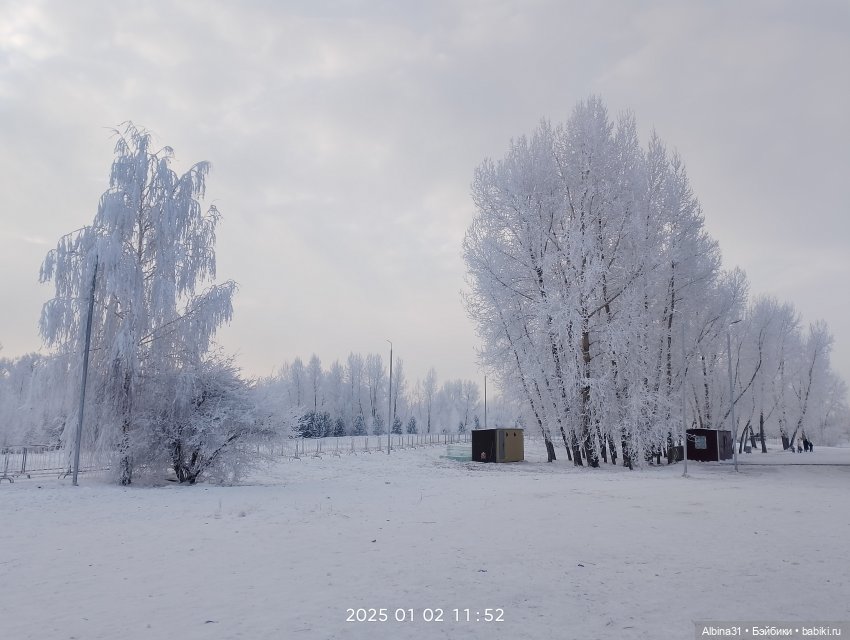 Городская ёлка 2024-25гг — Игровые куклы разных производителей (Разное): редкие бренды