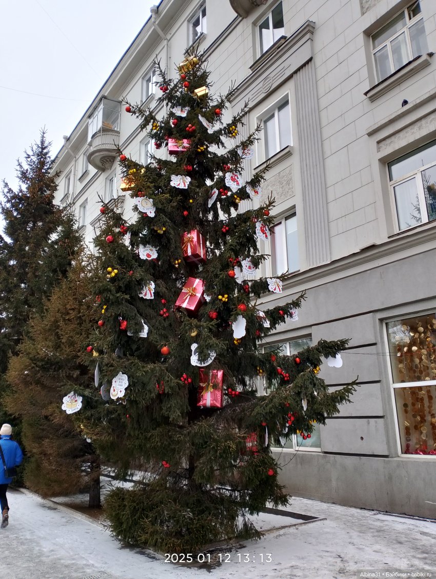 Елки районные — Разные шарнирные куклы (не БЖД): редкие (фото 8)