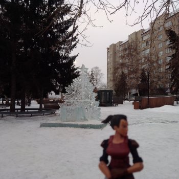 Елки районные