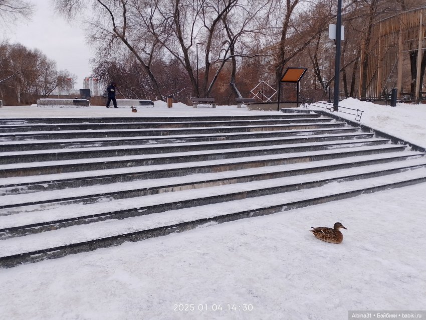 Елки районные — Разные шарнирные куклы (не БЖД): редкие