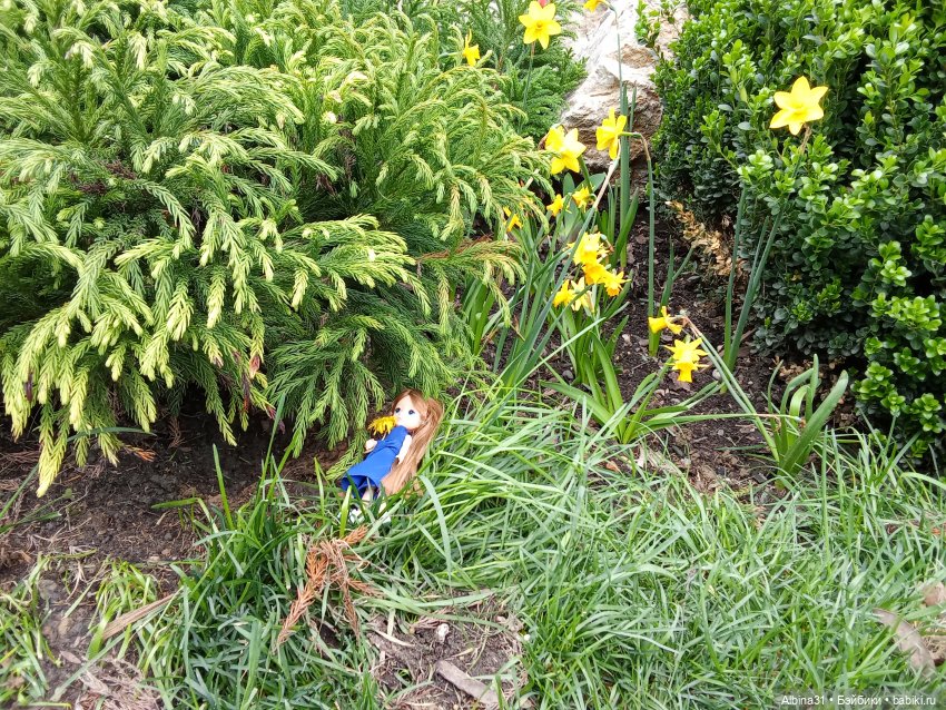 Сочи. Море и цветы (начало) (фото 5)