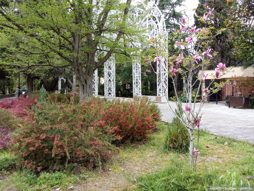 Сочи. Море и цветы (3) — Разные шарнирные куклы (не БЖД): редкие (фото 9)