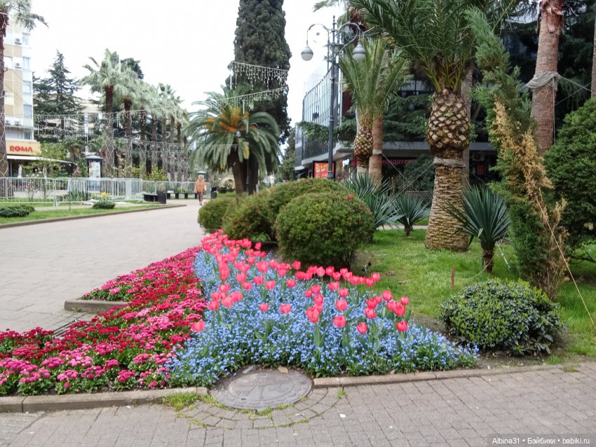 Сочи. Море и цветы (начало)