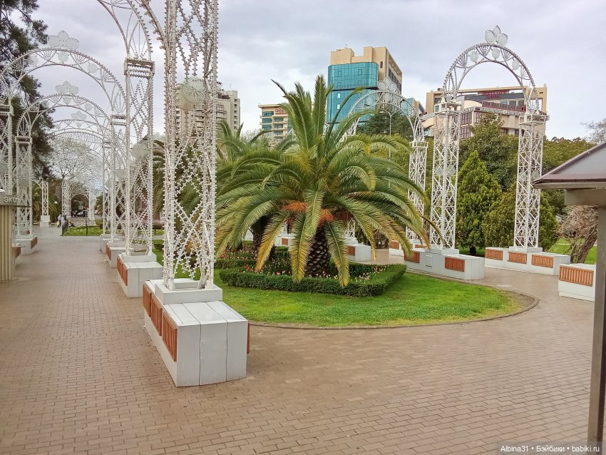 Сочи. Море и цветы (продолжение)