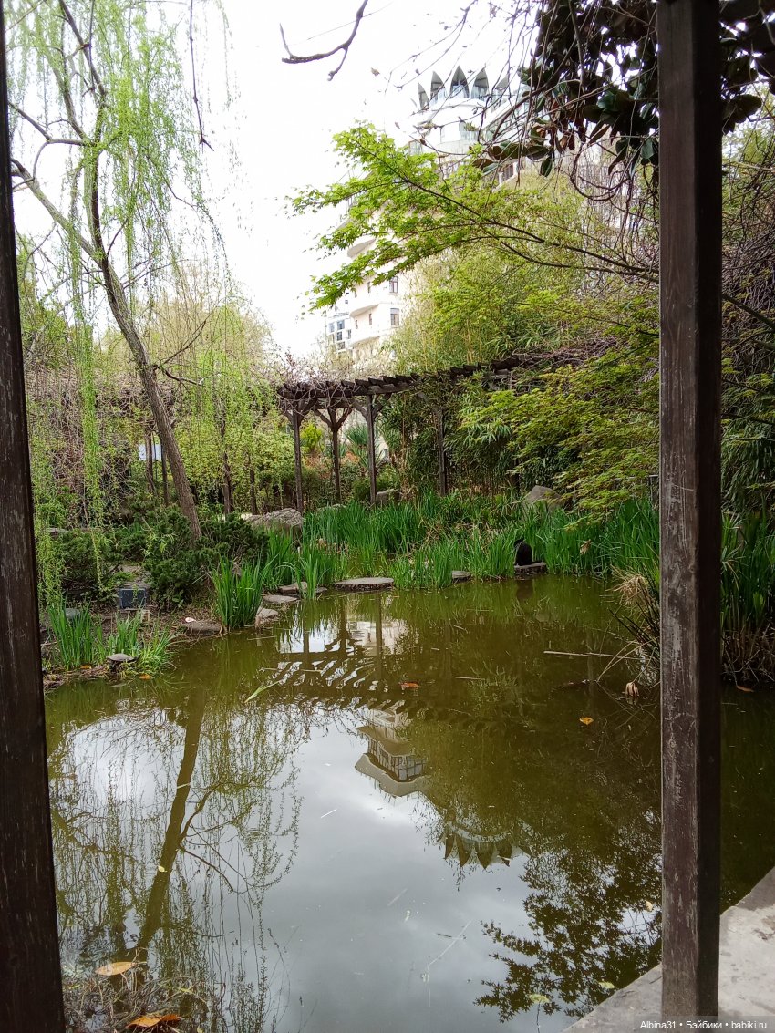 Сочи. Море и цветы (3) — Разные шарнирные куклы (не БЖД): редкие