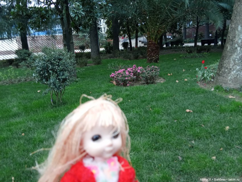 Сочи. Море и цветы (начало)