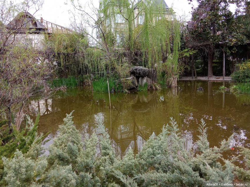 Сочи. Море и цветы (3) — Разные шарнирные куклы (не БЖД): редкие