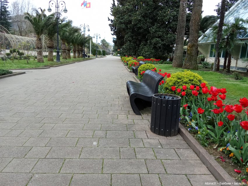 Сочи. Море и цветы (начало)