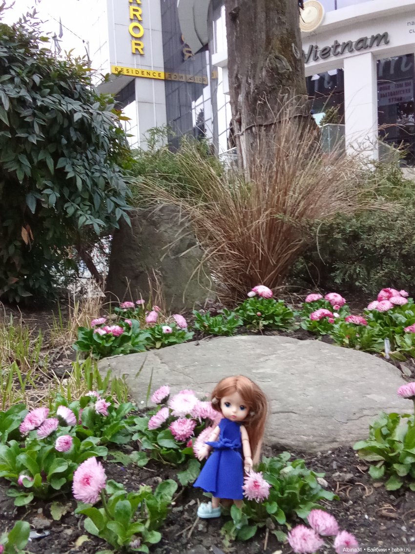 Сочи. Море и цветы (начало) (фото 2)