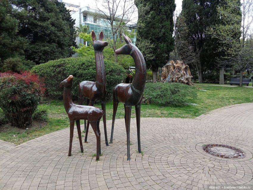 Сочи. Море и цветы (начало)