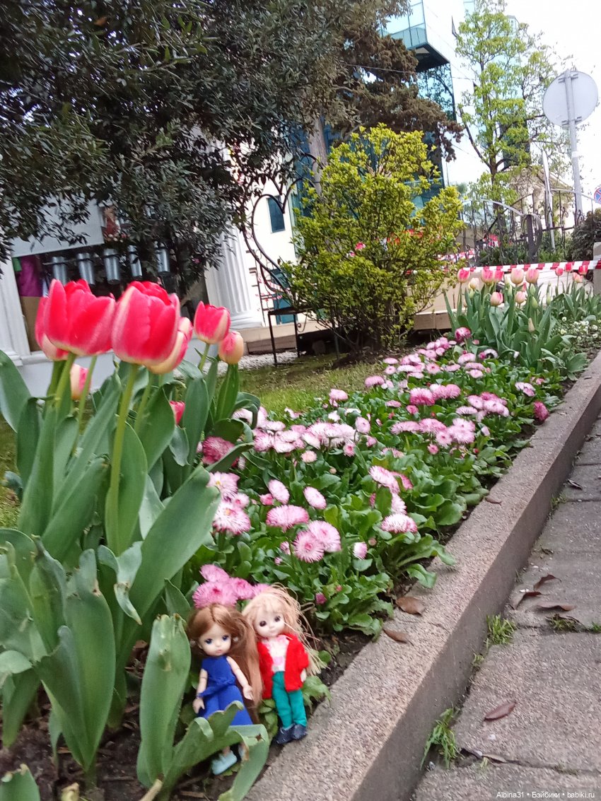 Сочи. Море и цветы (начало) (фото 4)