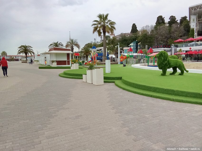 Сочи. Море и цветы (продолжение)