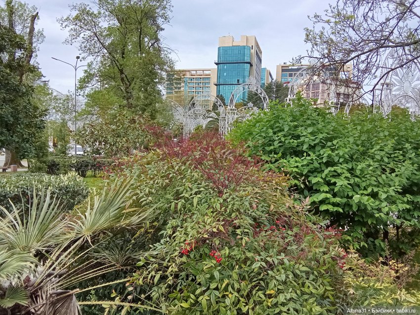 Сочи. Море и цветы (продолжение)