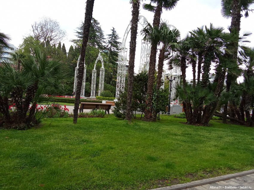 Сочи. Море и цветы (3) — Разные шарнирные куклы (не БЖД): редкие (фото 3)