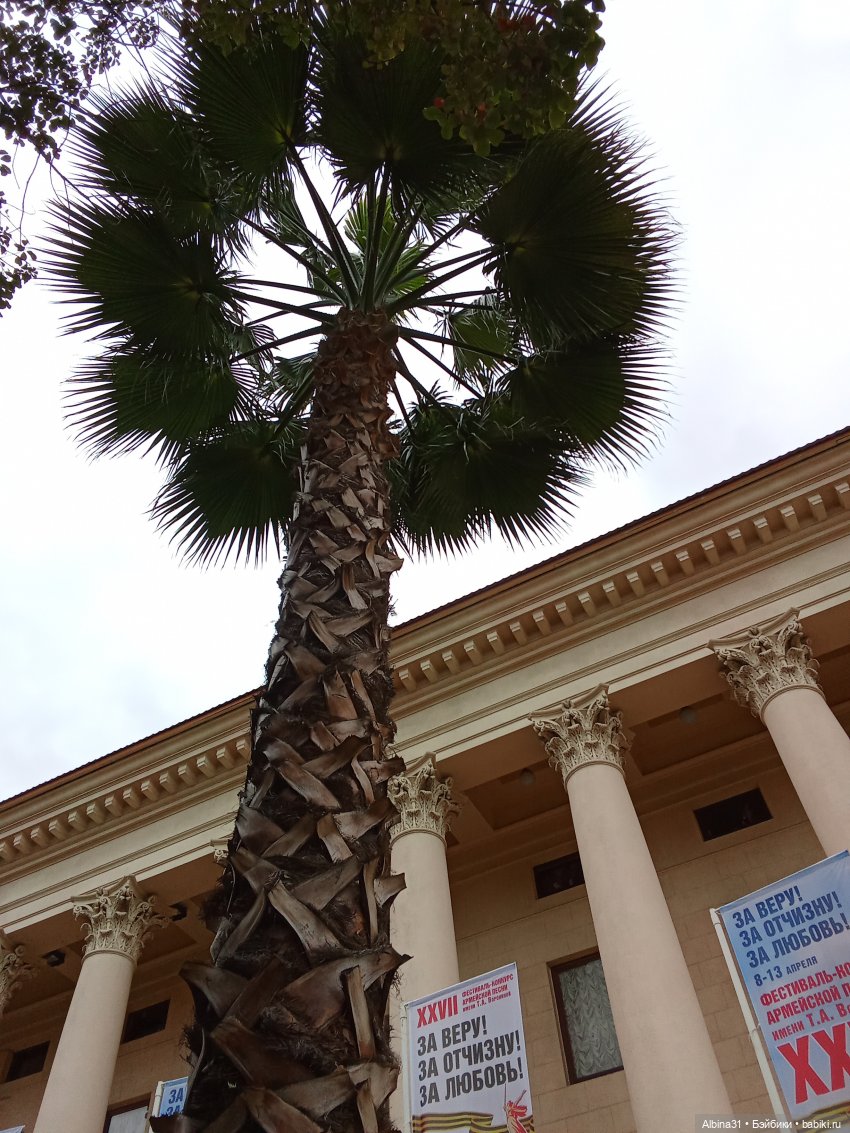 Сочи. Море и цветы (3) — Разные шарнирные куклы (не БЖД): редкие