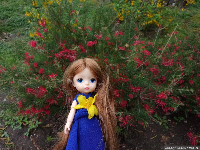 Сочи. Море и цветы (3) — Разные шарнирные куклы (не БЖД): редкие