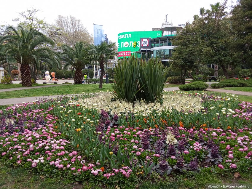 Сочи. Море и цветы (продолжение)