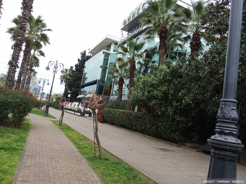 Сочи. Море и цветы (начало)