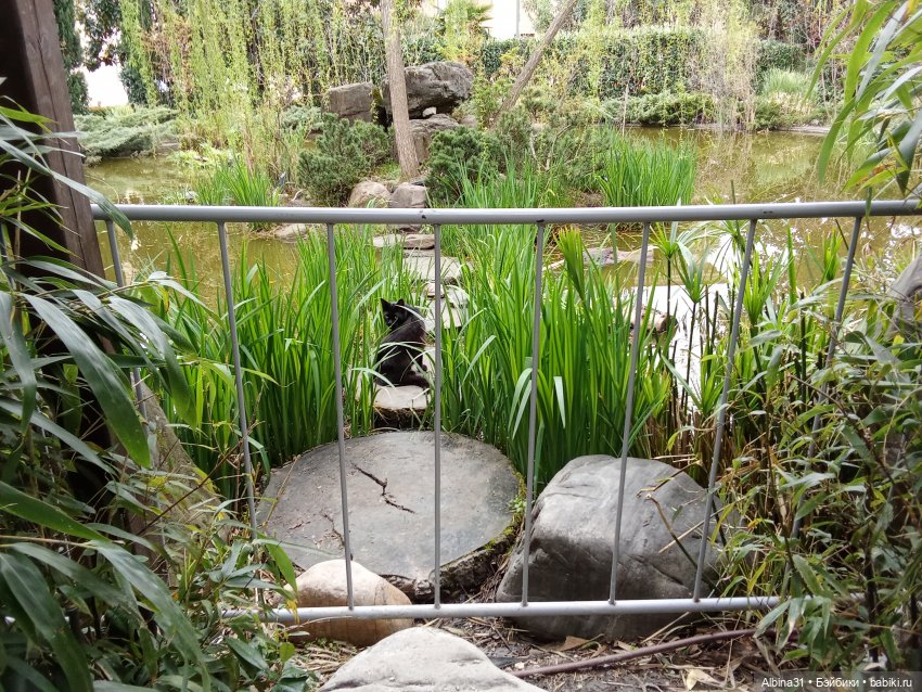 Сочи. Море и цветы (3) — Разные шарнирные куклы (не БЖД): редкие