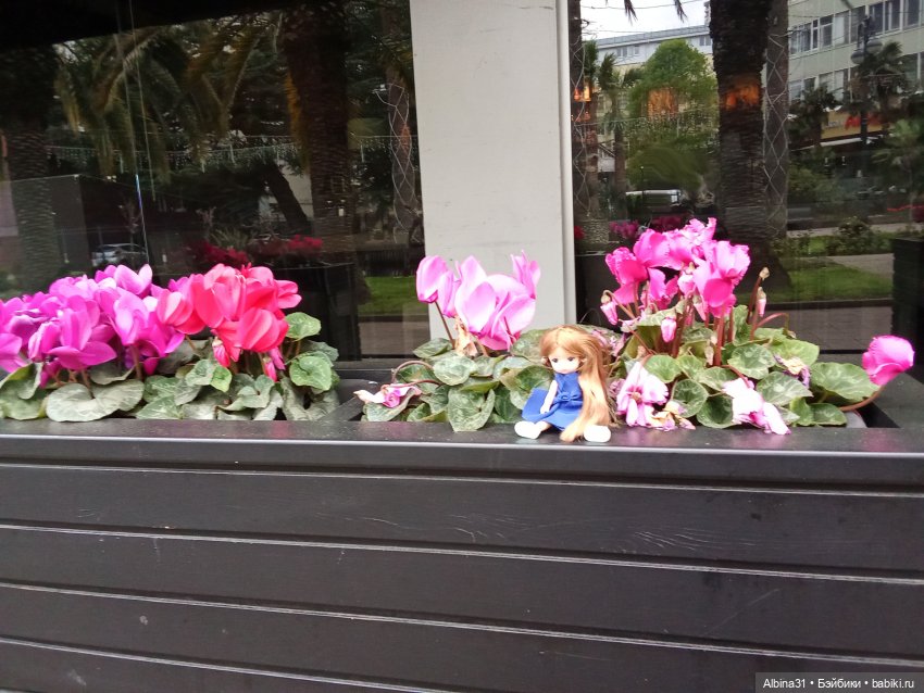 Сочи. Море и цветы (начало)