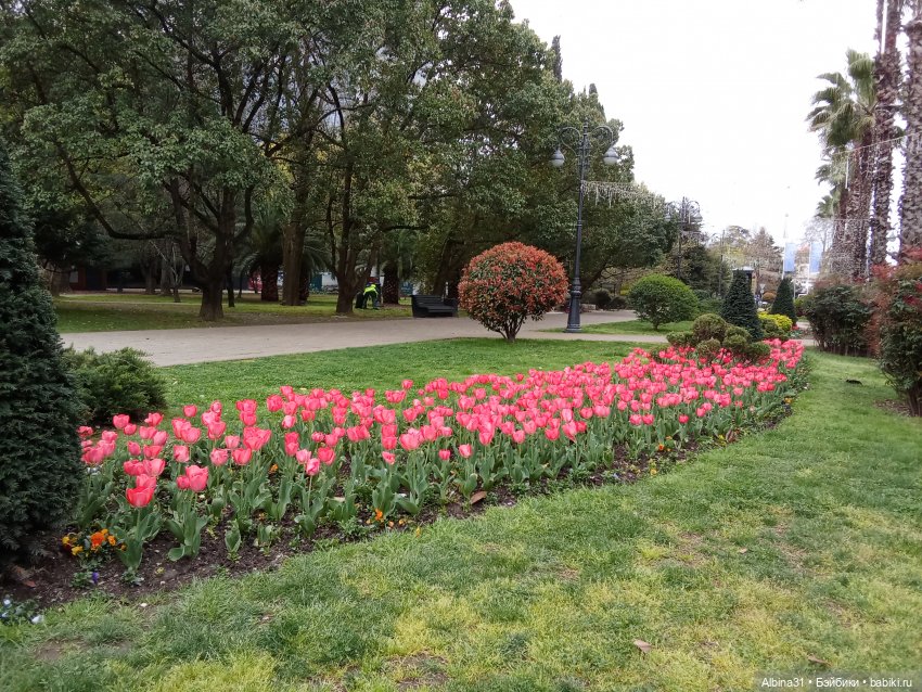 Сочи. Море и цветы (начало)