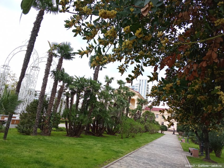 Сочи. Море и цветы (продолжение)