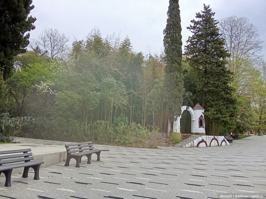 Сочи. Море и цветы (продолжение)