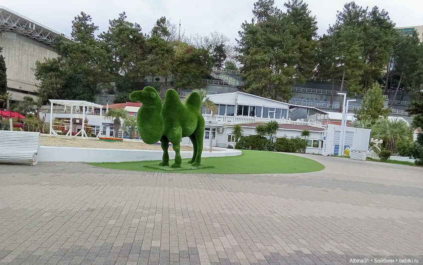 Сочи. Море и цветы (продолжение)