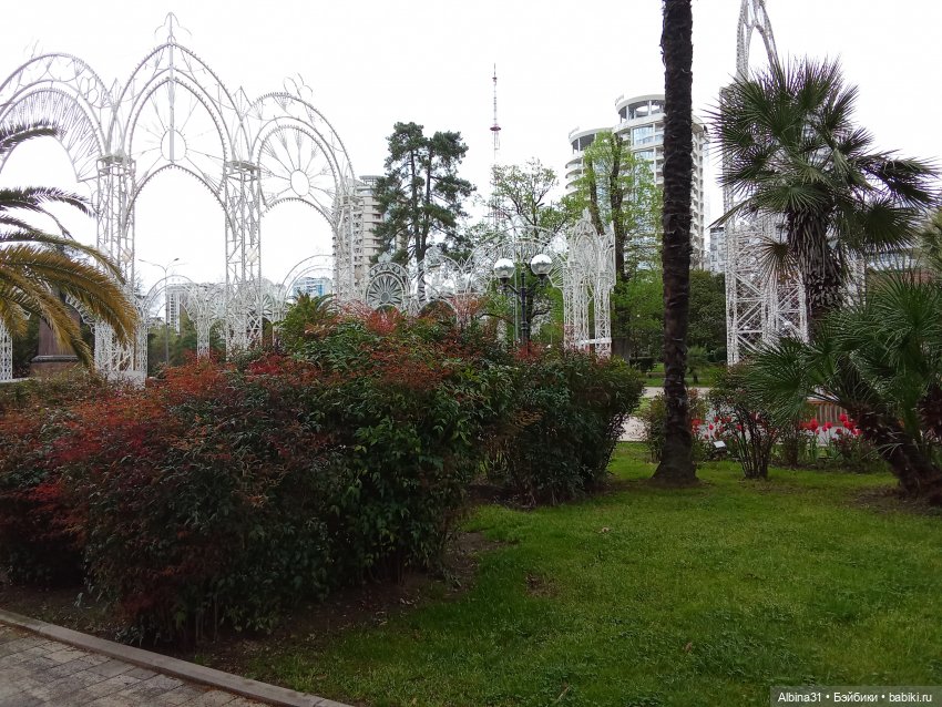 Сочи. Море и цветы (3) — Разные шарнирные куклы (не БЖД): редкие (фото 2)