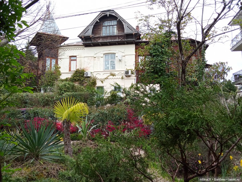 Сочи. Море и цветы (3) — Разные шарнирные куклы (не БЖД): редкие