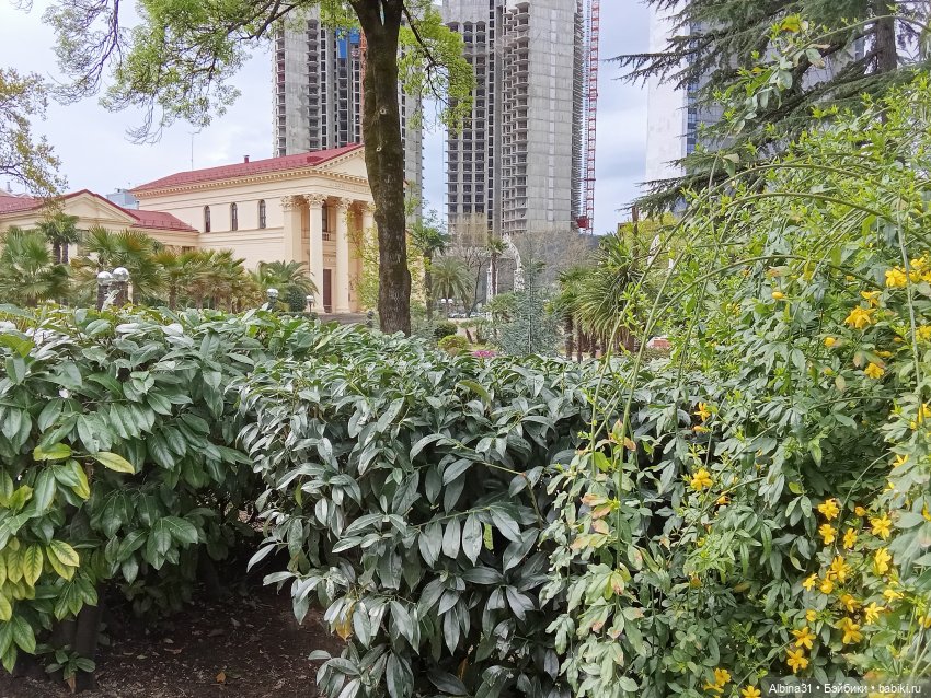 Сочи. Море и цветы (продолжение)