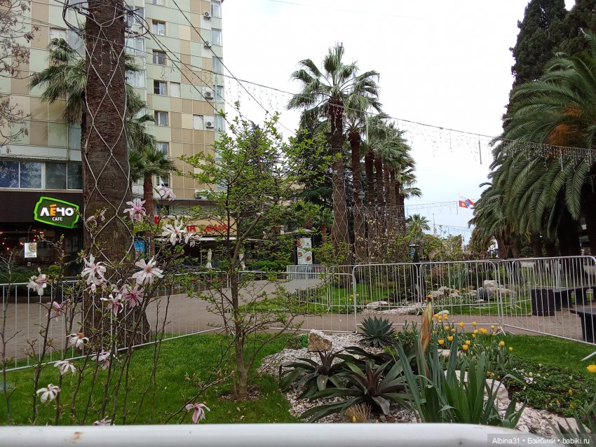 Сочи. Море и цветы (начало)