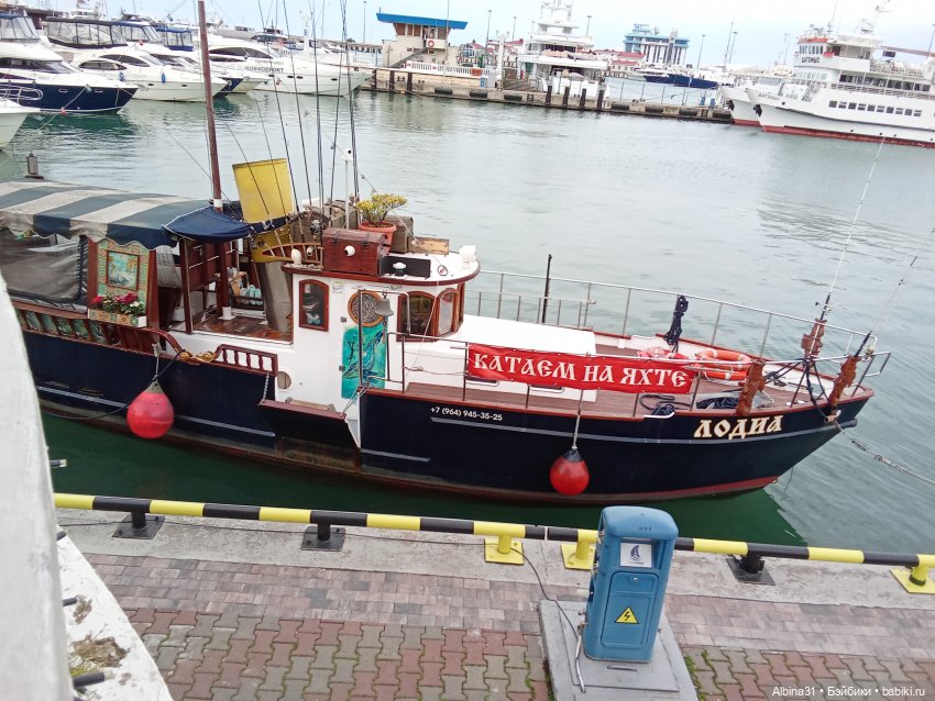 Сочи. Море и цветы (продолжение) (фото 6)