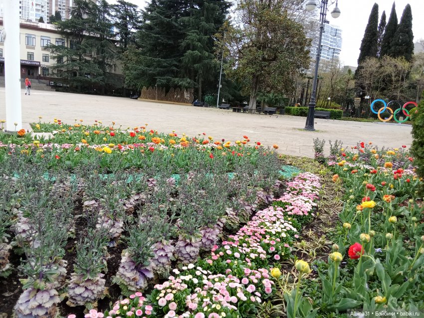 Сочи. Море и цветы (начало)