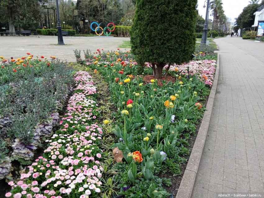 Сочи. Море и цветы (начало)