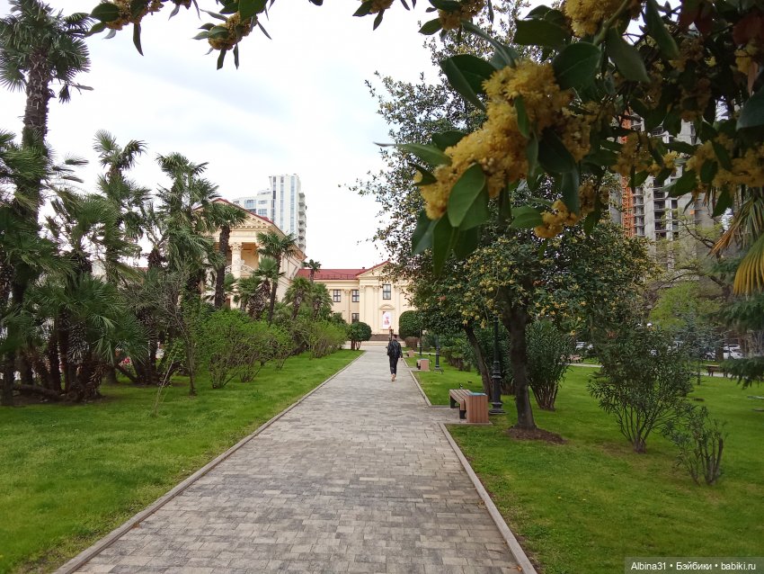 Сочи. Море и цветы (продолжение)