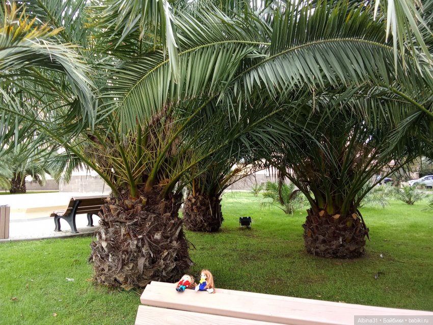 Сочи. Море и цветы (3) — Разные шарнирные куклы (не БЖД): редкие (фото 4)