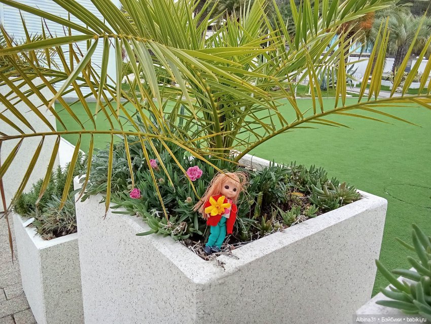 Сочи. Море и цветы (продолжение)