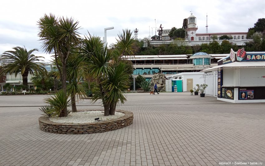 Сочи. Море и цветы (продолжение)