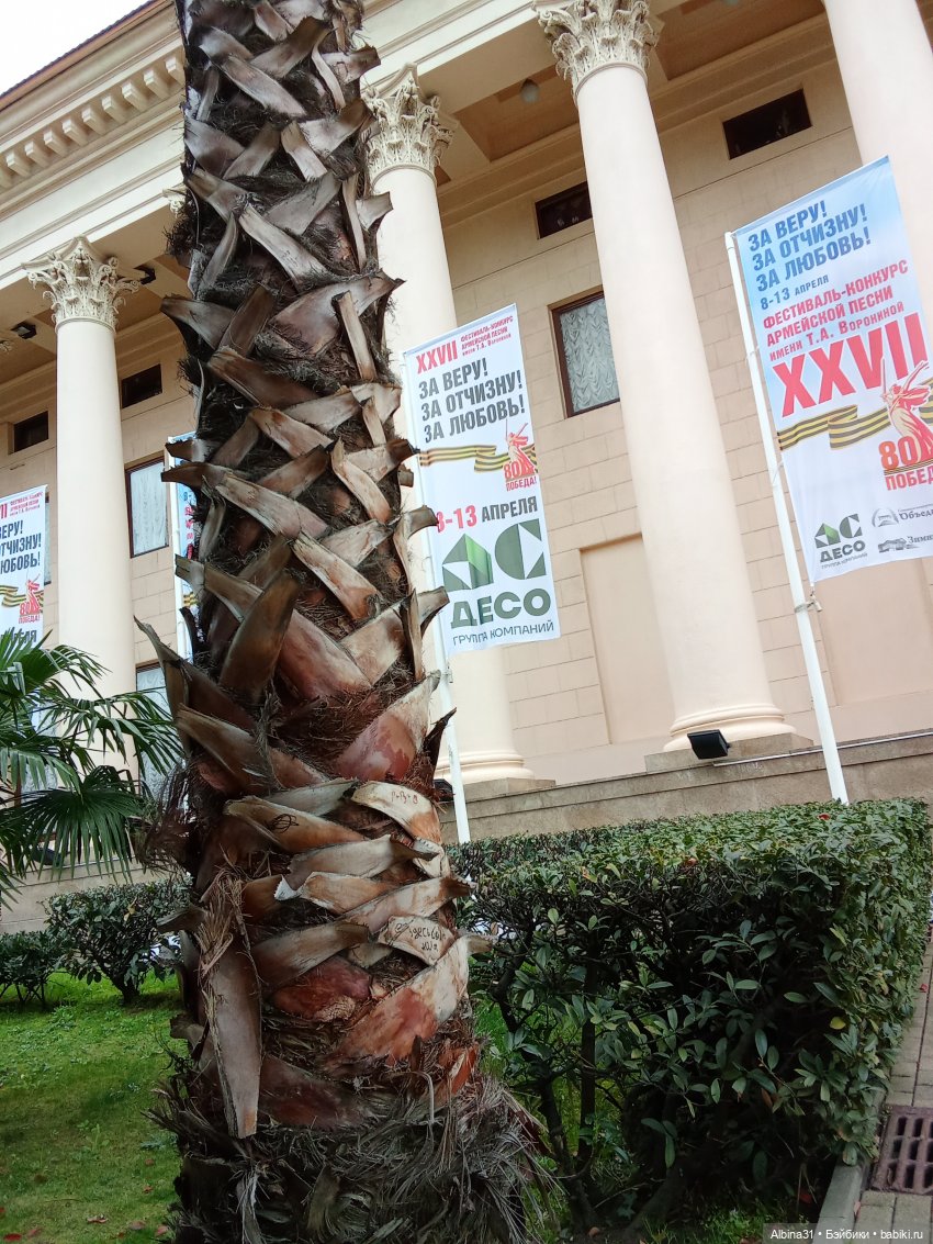 Сочи. Море и цветы (3) — Разные шарнирные куклы (не БЖД): редкие