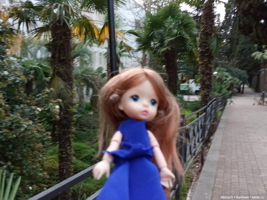 Сочи. Море и цветы (начало) (фото 3)