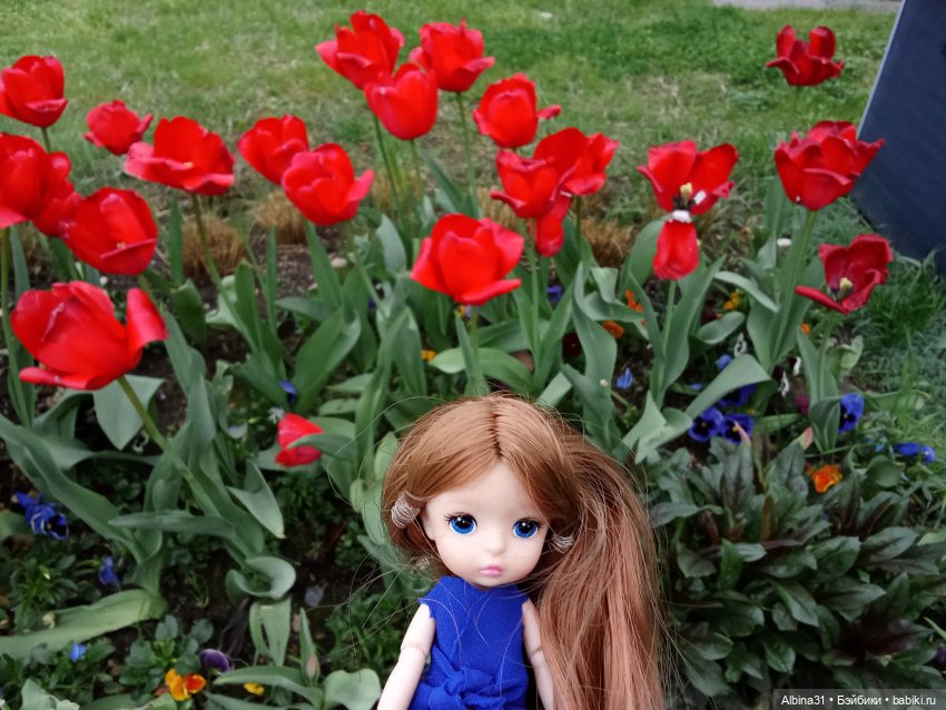 Сочи. Море и цветы (начало)