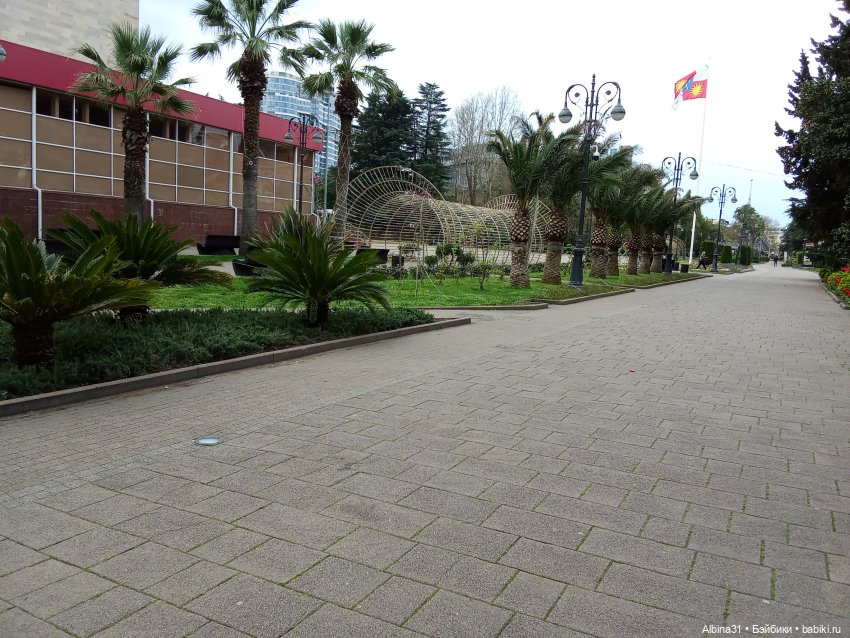 Сочи. Море и цветы (начало)