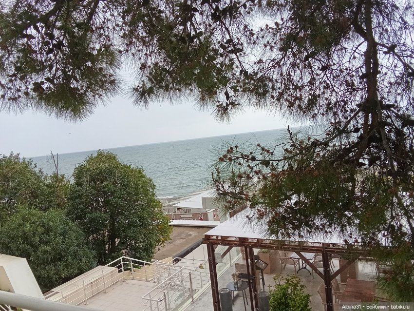 Сочи. Море и цветы (продолжение)