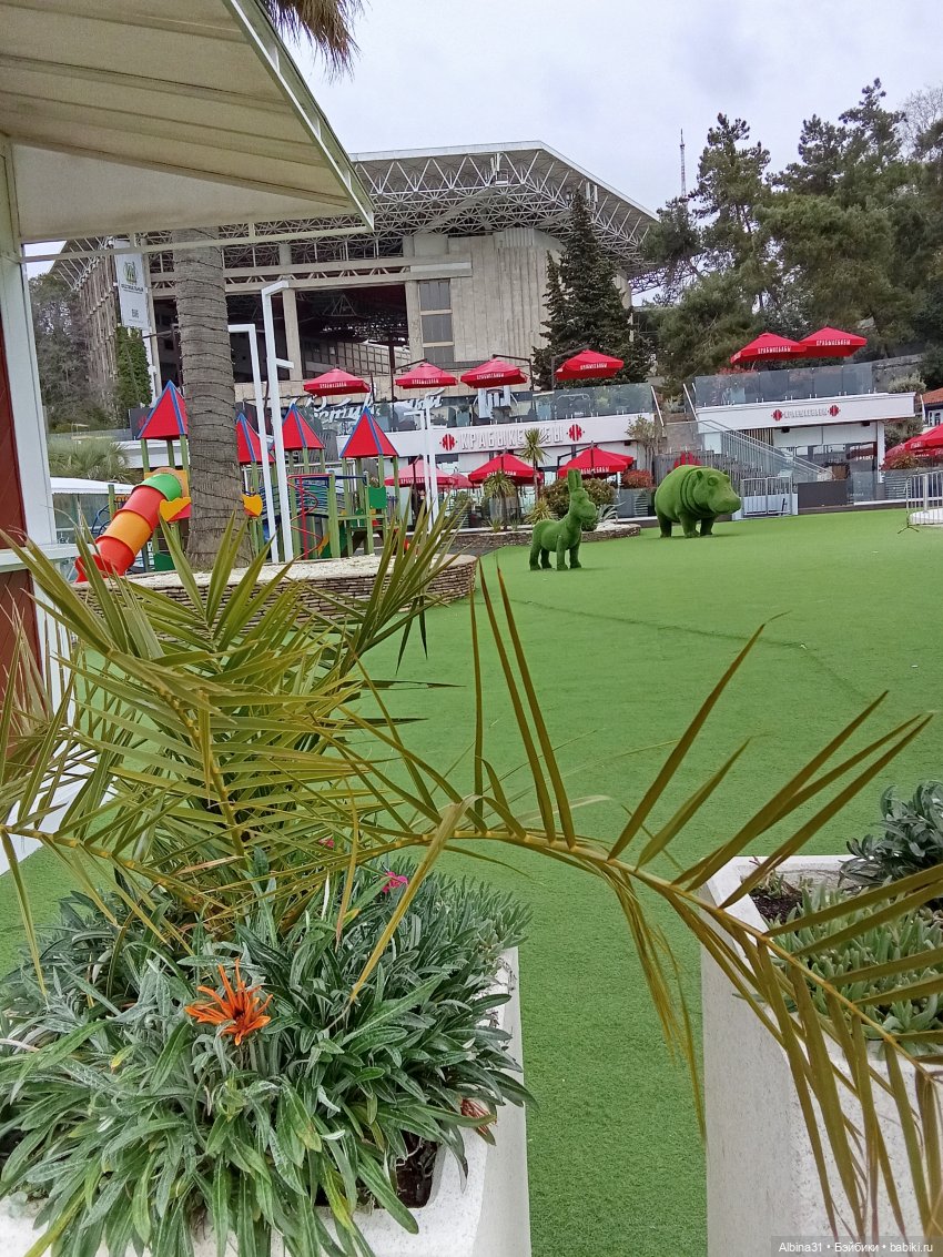 Сочи. Море и цветы (продолжение)