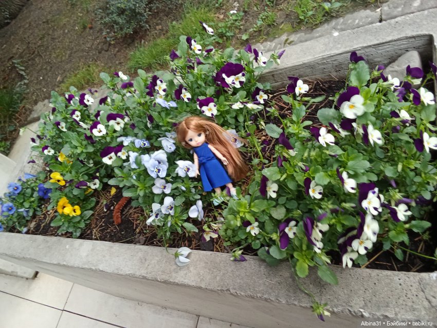 Сочи. Море и цветы (начало)