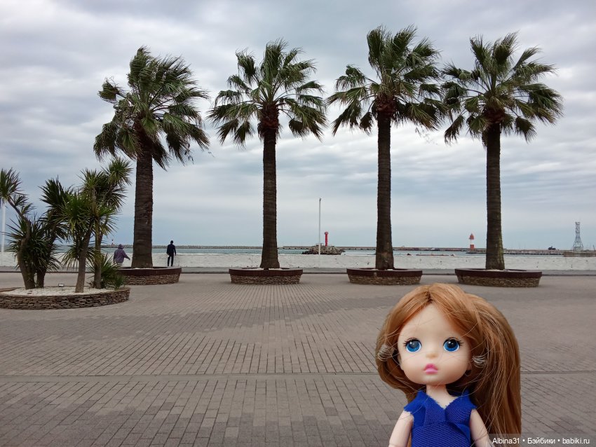 Сочи. Море и цветы (продолжение)